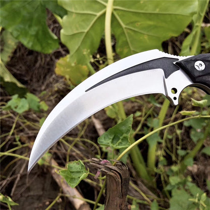 Mirrored Sheen Karambit Fixed Blade Knife
