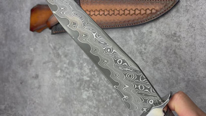 Reclusedge Jade VG10 Damascus Steel Bowie Fixed Blade Knife for Collection